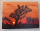 arbres au couche de soleil