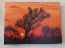 arbres au couche de soleil